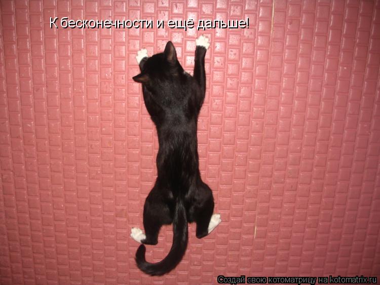 Котоматрица: К бесконечности и ещё дальше!