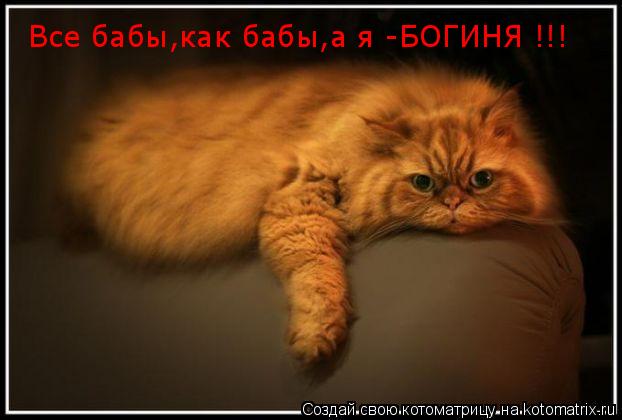 Котоматрица: Все бабы,как бабы,а я -БОГИНЯ !!!