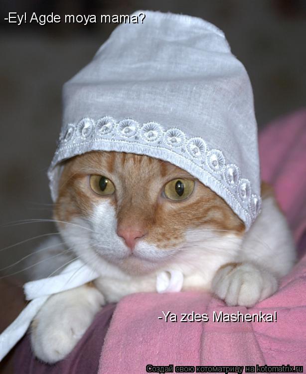 Котоматрица: -Ey! Agde moya mama? -Ya zdes Mashenka!
