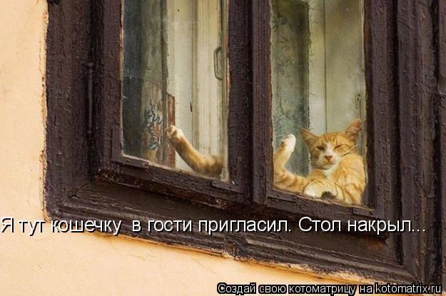 Котоматрица: Я тут кошечку  в гости пригласил. Стол накрыл...