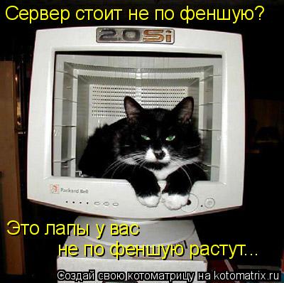 Котоматрица: Сервер стоит не по феншую? Это лапы у вас  не по феншую растут...