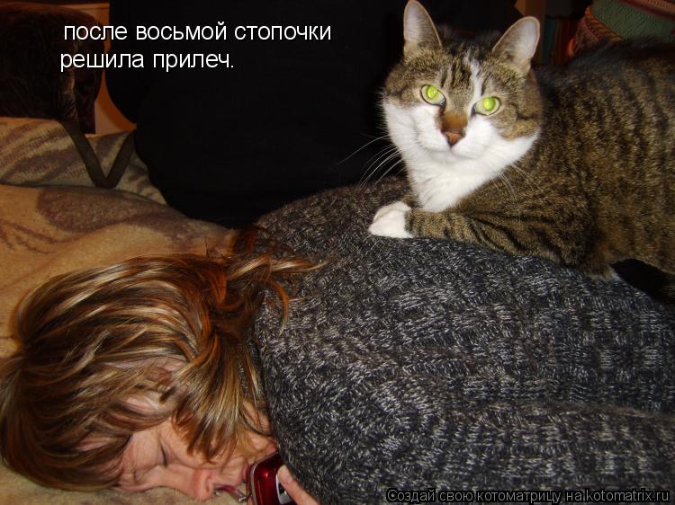 Котоматрица: после восьмой стопочки решила прилеч.