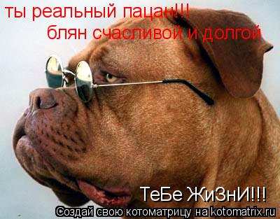 ты реальный пацан!!! блян счасливой и долгой ТеБе ЖиЗнИ!!!... Котоматрица: ты реальный пацан!!! блян счасливой и долгой ТеБе ЖиЗнИ!!!