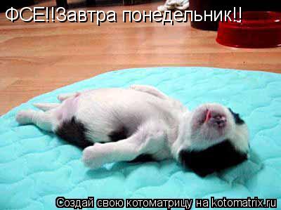 Котоматрица: ФСЕ!!Завтра понедельник!!