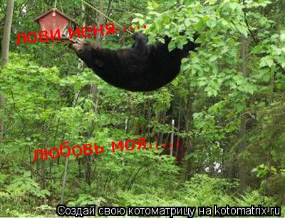 Котоматрица: лови меня ...... любовь моя.....