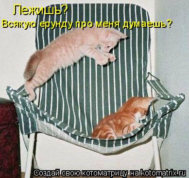 Котоматрица: Лежишь?  Всякую ерунду про меня думаешь?