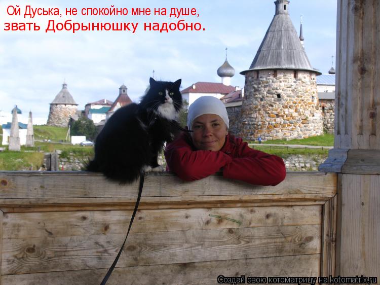 Ой Дуська, не спокойно мне на душе, звать Добрынюшку надобно.... Котоматрица: Ой Дуська, не спокойно мне на душе, звать Добрынюшку надобно.