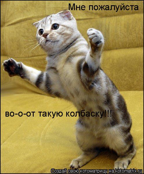 Котоматрица: Мне пожалуйста  во-о-от такую колбаску!!!