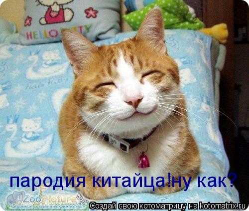 Котоматрица: пародия китайца!ну как?