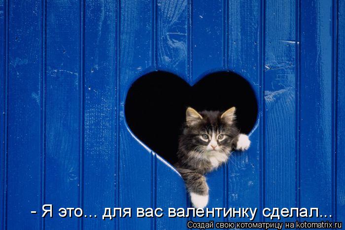 Котоматрица: - Я это... для вас валентинку сделал...