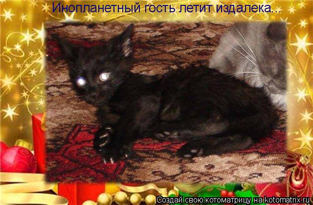 Инопланетный гость летит издалека...... Котоматрица: Инопланетный гость летит издалека...