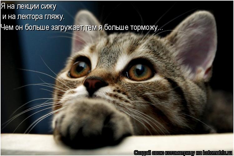Я на лекции сижу и на лектора гляжу. Чем он больше загружает, тем я больше торможу...... Котоматрица: Я на лекции сижу и на лектора гляжу. Чем он больше загружает, тем я больше торможу...
