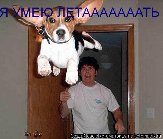 Я УМЕЮ ЛЕТАААААААТЬ... Котоматрица: Я УМЕЮ ЛЕТАААААААТЬ