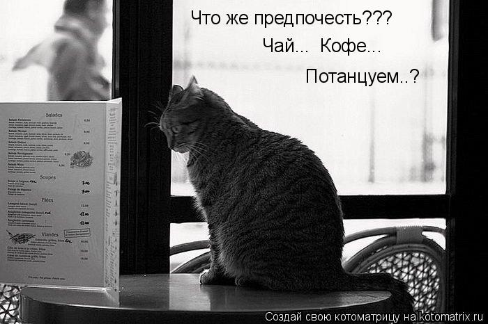Котоматрица: Что же предпочесть??? Чай...  Кофе... Потанцуем..?