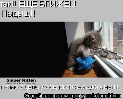 Котоматрица: так!! ЕЩЕ БЛИЖЕ!!! Пыдыщ!! ПРЯМО В ЦЕЛЬ!! СОСЕДСКОГО БУЛЬДОГА НЕТ!!!