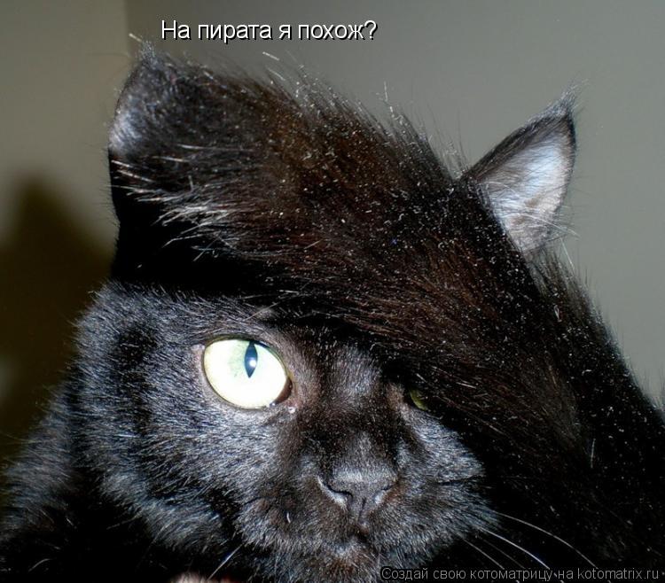 Котоматрица: На пирата я похож?