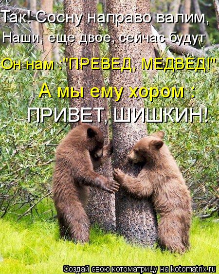 Котоматрица: ПРИВЕТ, ШИШКИН! Так! Сосну направо валим, А мы ему хором : Он нам :"ПРЕВЕД, МЕДВЕД!" Наши, еще двое, сейчас будут