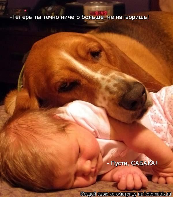 Котоматрица: -Теперь ты точно ничего больше  не натворишь! - Пусти, САБАКА!