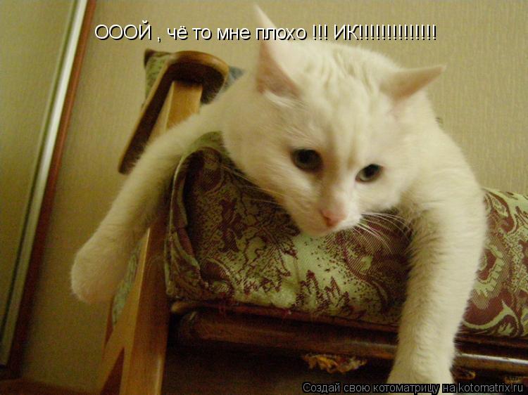 Котоматрица: ОООЙ , чё то мне плохо !!! ИК!!!!!!!!!!!!!!