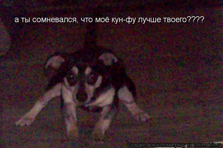 а ты сомневался, что моё кун-фу лучше твоего????... Котоматрица: а ты сомневался, что моё кун-фу лучше твоего????