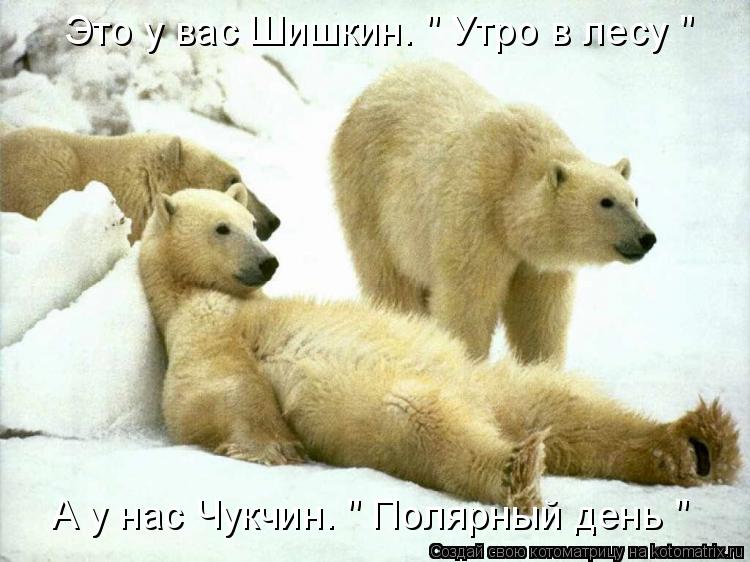 А у нас Чукчин. " Полярный день " Это у вас Шишкин. " Утро в лесу "... Котоматрица: А у нас Чукчин. " Полярный день " Это у вас Шишкин. " Утро в лесу "