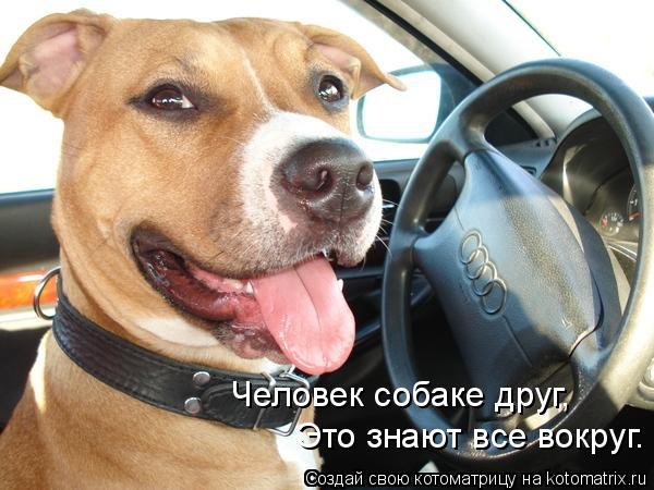 Котоматрица: Человек собаке друг, Это знают все вокруг.
