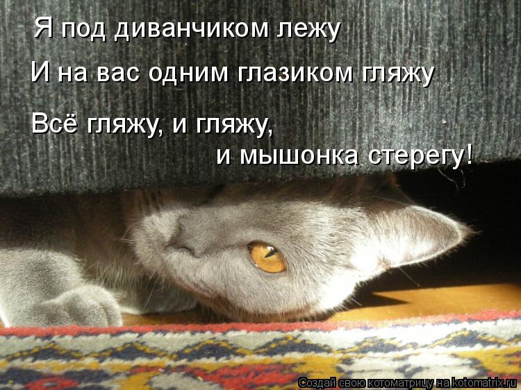Котоматрица: Я под диванчиком лежу И на вас одним глазиком гляжу Всё гляжу, и гляжу,  и мышонка стерегу!