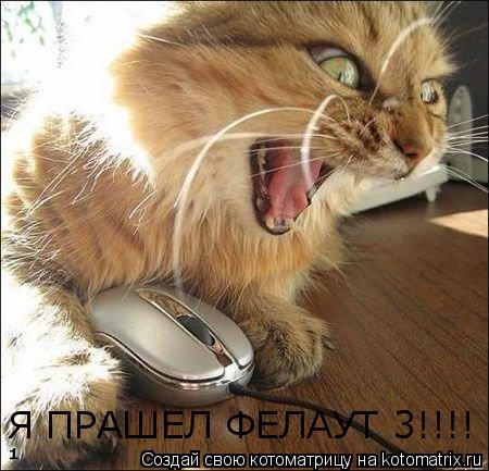 Котоматрица: Я ПРАШЕЛ ФЕЛАУТ 3!!!!