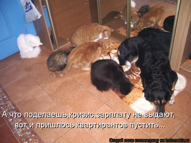 Котоматрица: А что поделаешь,кризис,зарплату не выдают, вот и пришлось квартирантов пустить...