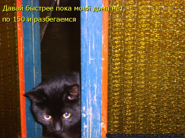 Давай быстрее пока моей дома нет, по 150 и разбегаемся... Котоматрица: Давай быстрее пока моей дома нет, по 150 и разбегаемся