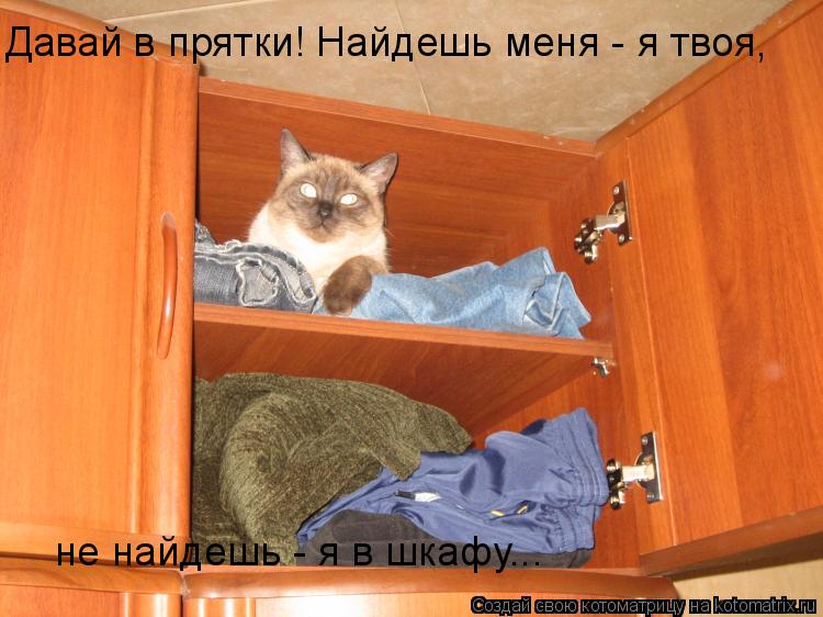 Давай в прятки! Найдешь меня - я твоя, не найдешь - я в шкафу...... Котоматрица: Давай в прятки! Найдешь меня - я твоя, не найдешь - я в шкафу...
