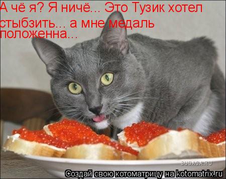 Котоматрица: А чё я? Я ничё... Это Тузик хотел стыбзить... а мне медаль положенна...