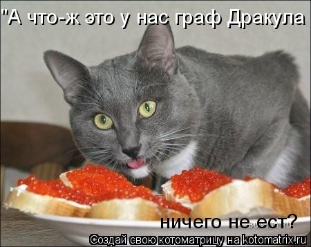 Котоматрица: "А что-ж это у нас граф Дракула   ничего не ест?