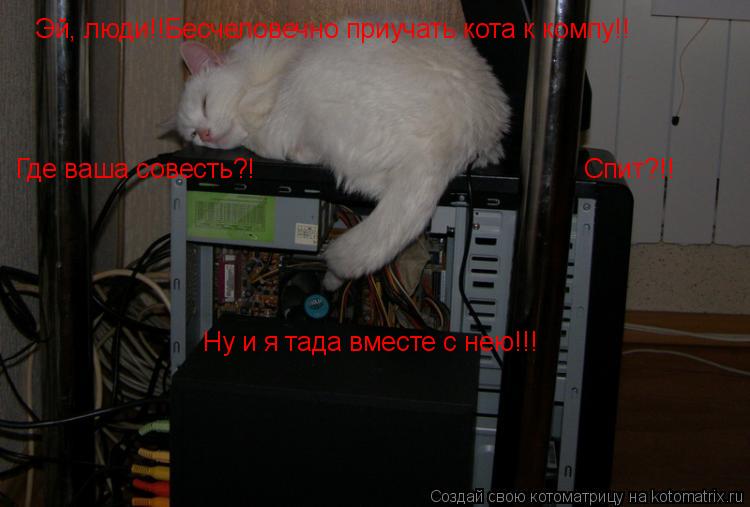 Котоматрица: Эй, люди!!Бесчеловечно приучать кота к компу!! Где ваша совесть?! Спит?!! Ну и я тада вместе с нею!!!