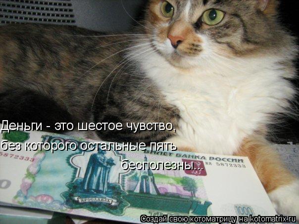 Котоматрица: Деньги - это шестое чувство,  без которого остальные пять бесполезны...