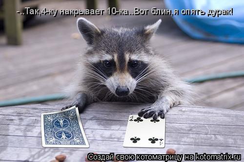 Котоматрица: -..Так,4-ку накрывает 10-ка..Вот блин,я опять дурак!