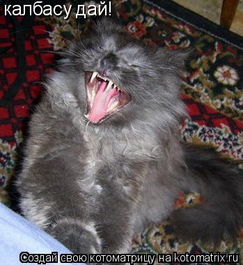 Котоматрица: калбасу дай!