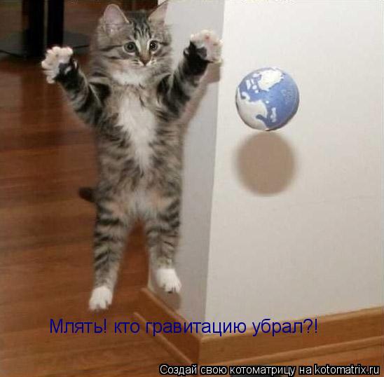 Млять! кто гравитацию убрал?!... Котоматрица: Млять! кто гравитацию убрал?!