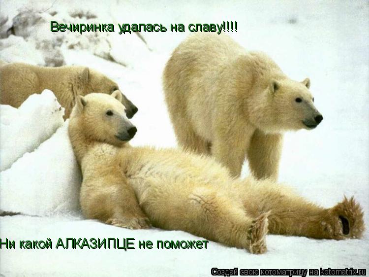 Котоматрица: Вечиринка удалась на славу!!!! Ни какой АЛКАЗИПЦЕ не поможет
