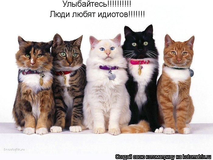 Котоматрица: Улыбайтесь!!!!!!!!!! Люди любят идиотов!!!!!!!