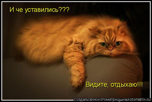 Котоматрица: И че уставились??? Видите, отдыхаю!!!