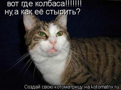 Котоматрица: вот где колбаса!!!!!!! ну,а как её стырить?