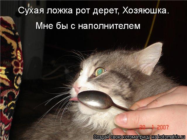 Сухая ложка рот дерет, Хозяюшка. Мне бы с наполнителем... Котоматрица: Сухая ложка рот дерет, Хозяюшка. Мне бы с наполнителем