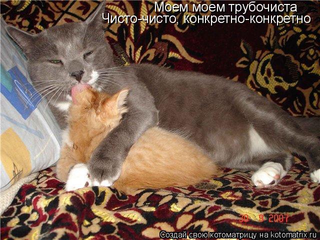 Котоматрица: Моем моем трубочиста Чисто-чисто, конкретно-конкретно
