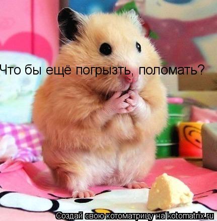 Котоматрица: Что бы ещё погрызть, поломать?