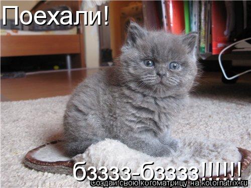 Котоматрица: Поехали! бзззз-бзззз!!!!!!