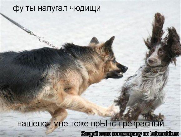 Котоматрица: фу ты напугал чюдищи нашелся мне тоже прЫнс прекрасный