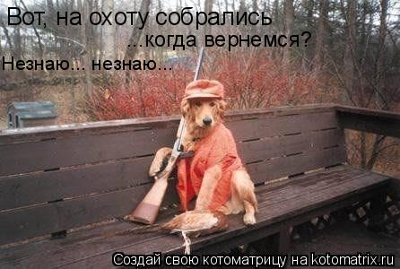 Котоматрица: Вот, на охоту собрались ...когда вернемся? Незнаю... незнаю...