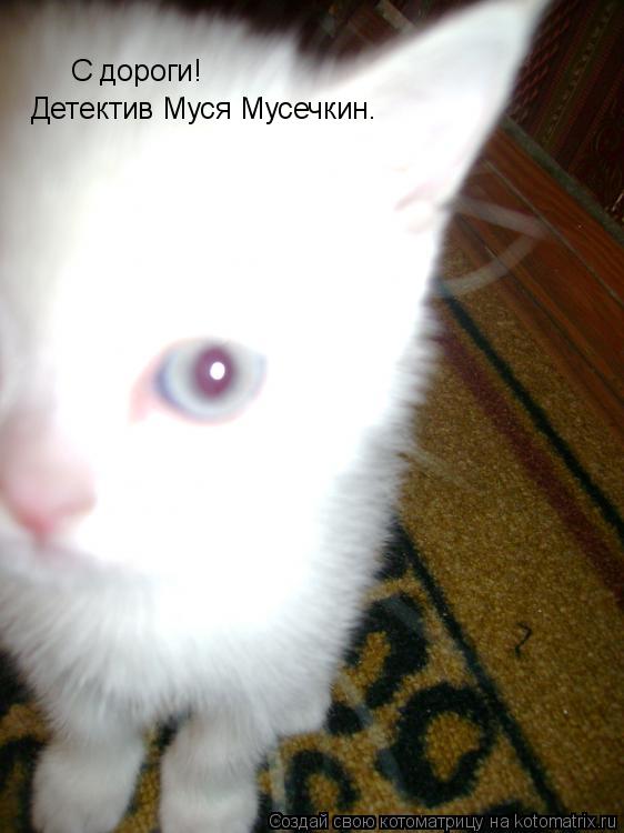 Котоматрица: С дороги! Детектив Муся Мусечкин.