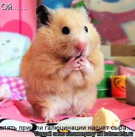 Котоматрица: Ой....... опять пришли галюцинации насчёт сыра...... опять пришли галюцинации насчёт сыра......